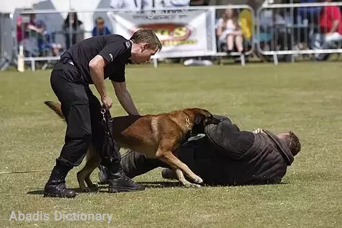 سگ پلیس